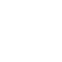 Frontzu Politia