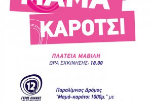 Αφίσες 12ου Γύρου Λίμνης