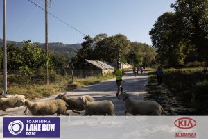 12ος Γύρος Λίμνης Ιωαννίνων- 30 χλμ. (Η διαδρομή)